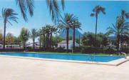 Communal Pool